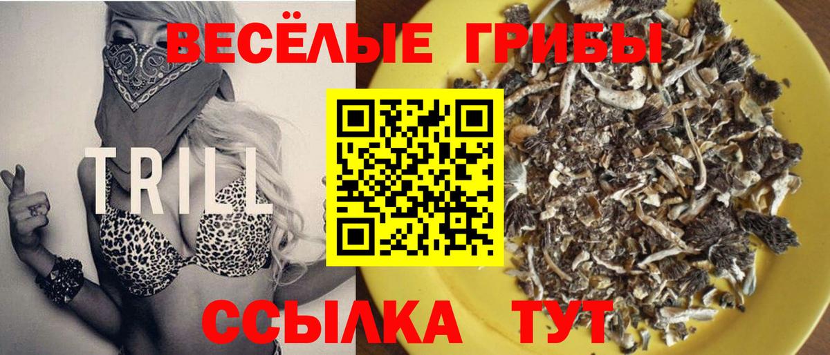 где купить наркоту  Вход с VPN  Миасс  Псилоцибиновые грибы Psilocybe 